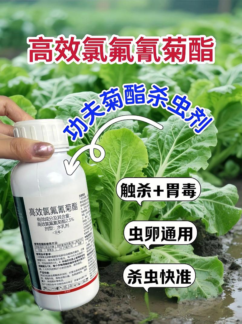 山南代生中心:农药对供卵代生妈妈的危害